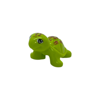 Schildkröte