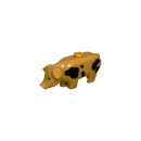 Schwein