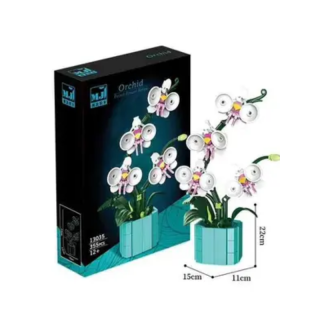 MJ - Orchidee