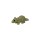 Ratte