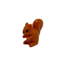 Eichhörnchen